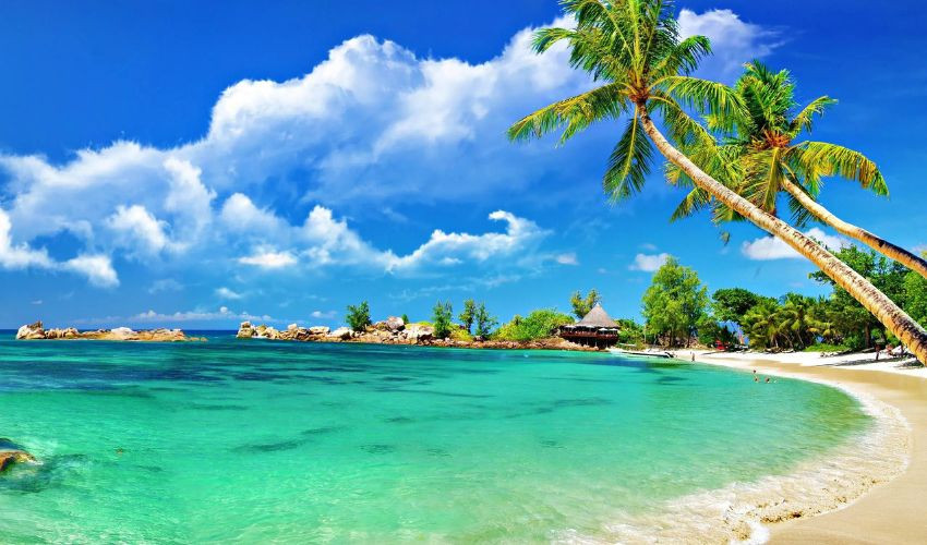 Mumbai to Goa Distance, Road Trip Guide, and Travel Information